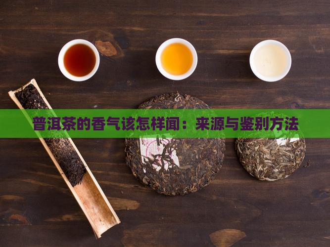 普洱茶的香气该怎样闻：来源与鉴别方法