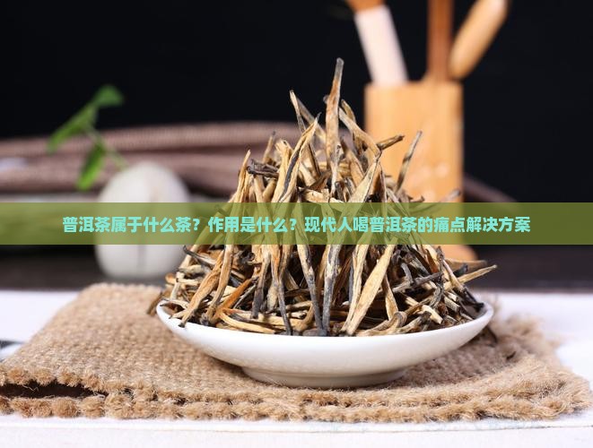 普洱茶属于什么茶？作用是什么？现代人喝普洱茶的痛点解决方案