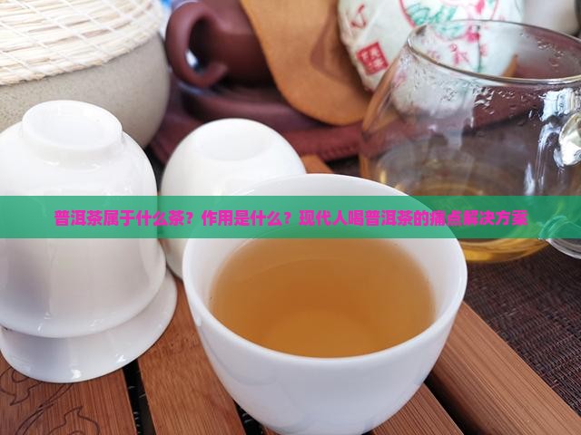 普洱茶属于什么茶？作用是什么？现代人喝普洱茶的痛点解决方案
