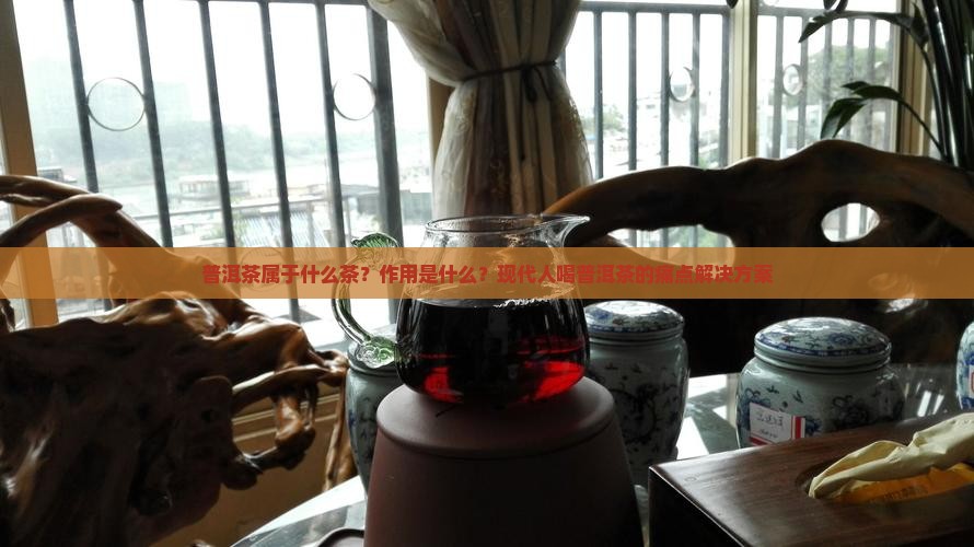 普洱茶属于什么茶？作用是什么？现代人喝普洱茶的痛点解决方案