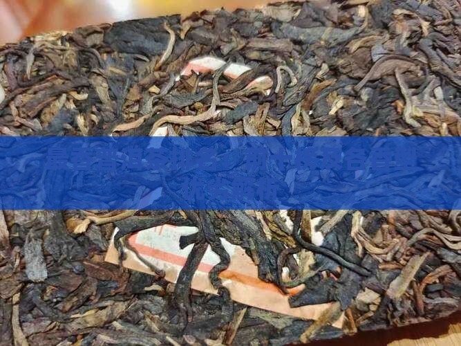 最香普洱茶排名：前十榜及各香型优劣解析