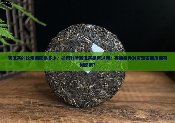普洱茶的饮用期限是多少？如何判断普洱茶是否过期？存储条件对普洱茶保质期有何影响？