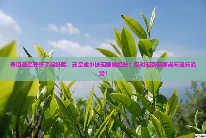 普洱茶是弄碎了泡好喝，还是成小块泡更能提味？探讨泡茶新痛点与流行趋势！
