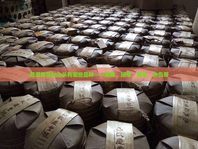 普洱茶区的山头有哪些品种——南糯、班章、易武、冰岛等
