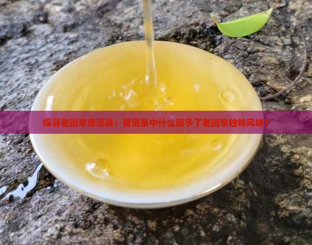 探寻老班章普洱茶：普洱茶中什么赋予了老班章独特风味？
