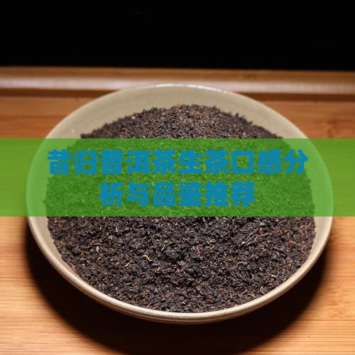 昔归普洱茶生茶口感分析与品鉴推荐