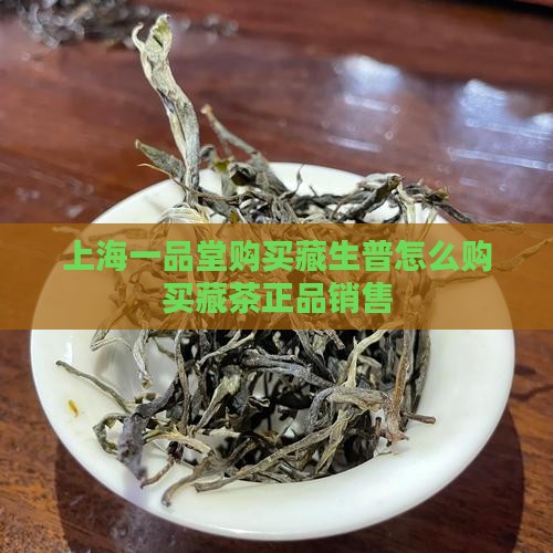 上海一品堂购买藏生普怎么购买藏茶正品销售