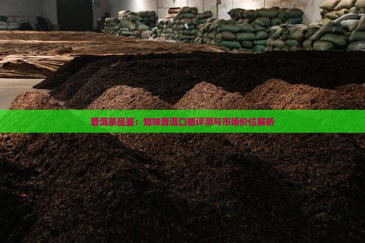 普洱茶品鉴：知味普洱口感评测与市场价位解析