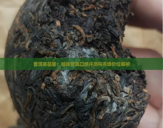 普洱茶品鉴：知味普洱口感评测与市场价位解析