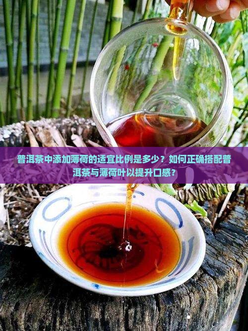 普洱茶中添加薄荷的适宜比例是多少？如何正确搭配普洱茶与薄荷叶以提升口感？