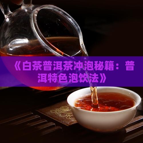 《白茶普洱茶冲泡秘籍：普洱特色泡饮法》