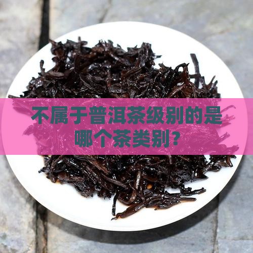 不属于普洱茶级别的是哪个茶类别？