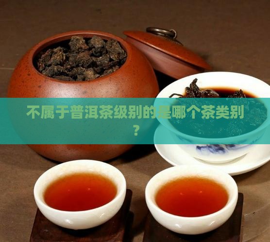不属于普洱茶级别的是哪个茶类别？