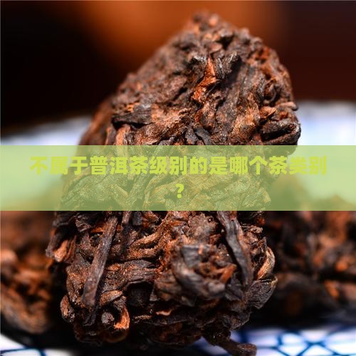 不属于普洱茶级别的是哪个茶类别？