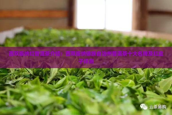 西双版纳红普洱茶介绍：西双版纳傣族自治州普洱茶十大名牌及红盒子评测