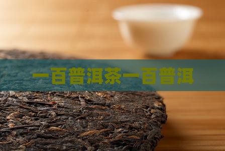 一百普洱茶一百普洱