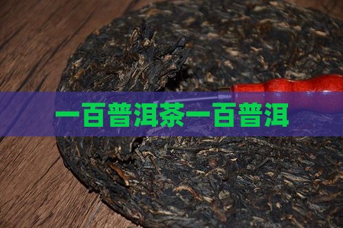 一百普洱茶一百普洱
