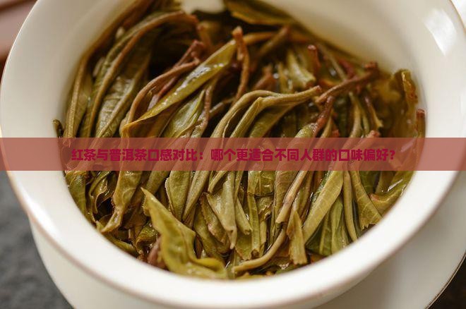 红茶与普洱茶口感对比：哪个更适合不同人群的口味偏好？