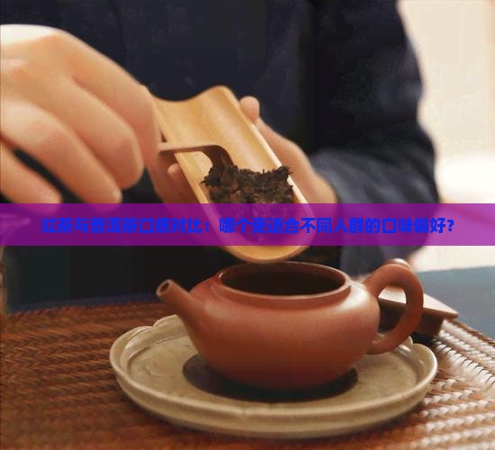 红茶与普洱茶口感对比：哪个更适合不同人群的口味偏好？