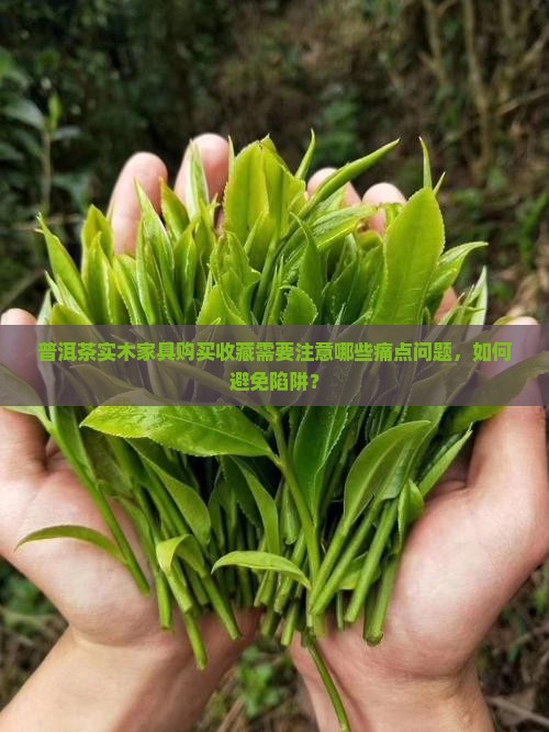 普洱茶实木家具购买收藏需要注意哪些痛点问题，如何避免陷阱？