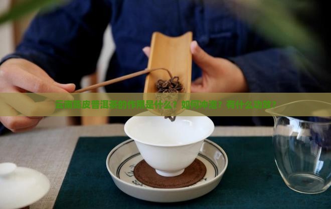 云南陈皮普洱茶的作用是什么？如何冲泡？有什么功效？