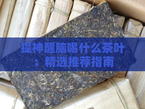 提神醒脑喝什么茶叶：精选推荐指南