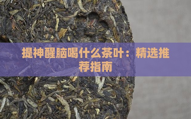 提神醒脑喝什么茶叶：精选推荐指南