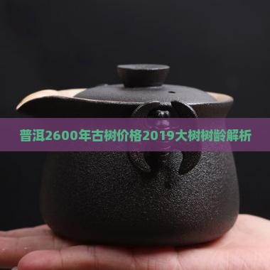 普洱2600年古树价格2019大树树龄解析