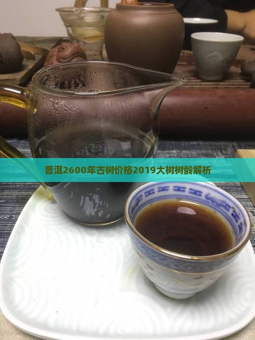 普洱2600年古树价格2019大树树龄解析