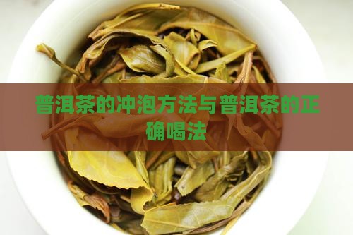 普洱茶的冲泡方法与普洱茶的正确喝法
