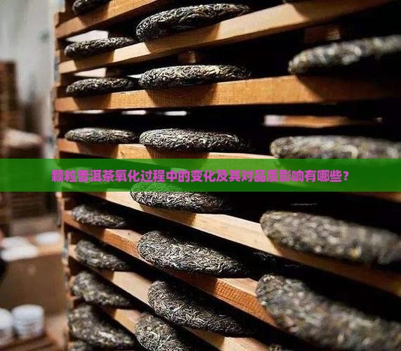 颗粒普洱茶氧化过程中的变化及其对品质影响有哪些？