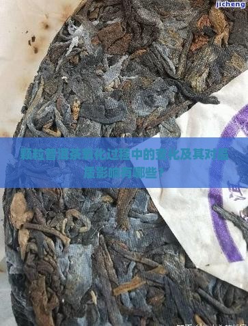 颗粒普洱茶氧化过程中的变化及其对品质影响有哪些？