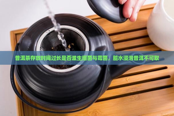 普洱茶存放时间过长是否滋生细菌与霉菌，脏水浸泡普洱不可取