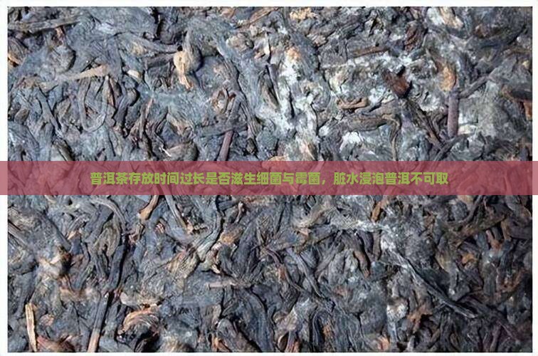 普洱茶存放时间过长是否滋生细菌与霉菌，脏水浸泡普洱不可取