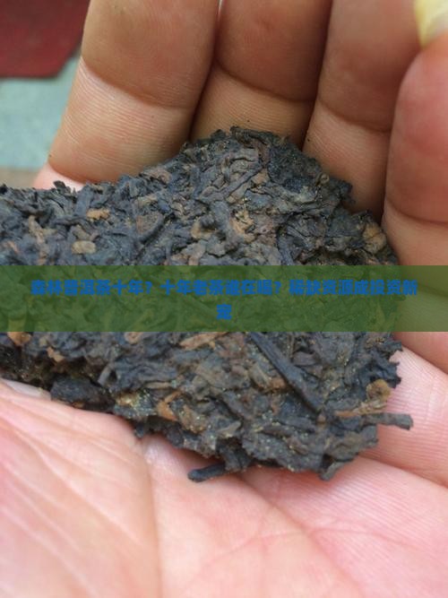 森林普洱茶十年？十年老茶谁在喝？稀缺资源成投资新宠