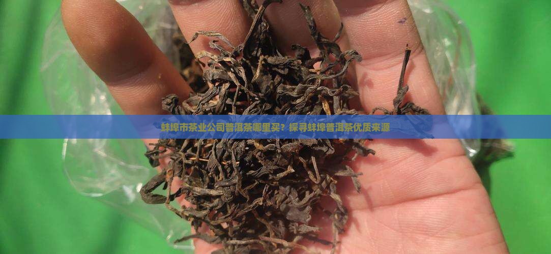蚌埠市茶业公司普洱茶哪里买？探寻蚌埠普洱茶优质来源