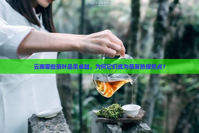 云南哪些茶叶品质卓越，为何它们成为茶友热搜焦点？