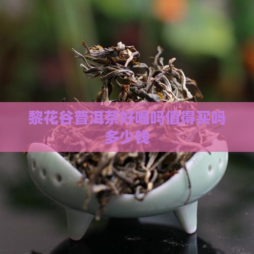 黎花谷普洱茶好喝吗值得买吗多少钱