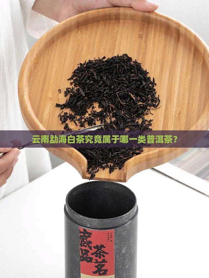 云南勐海白茶究竟属于哪一类普洱茶？