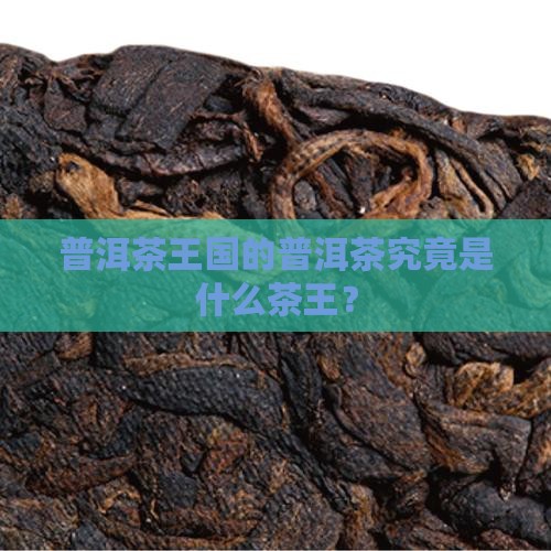 普洱茶王国的普洱茶究竟是什么茶王？
