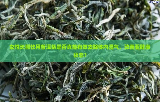 女性长期饮用普洱茶是否真能有效去除体内湿气，改善亚健康状态？