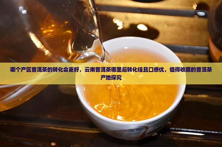 哪个产区普洱茶的转化会更好，云南普洱茶哪里后转化佳且口感优，值得收藏的普洱茶产地探究
