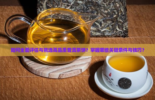 如何全面评估与挑选高品质普洱茶饼？掌握哪些关键条件与技巧？