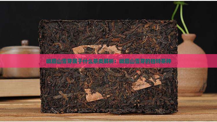 峨眉山雪芽属于什么茶类解析：峨眉山雪芽的独特茶种