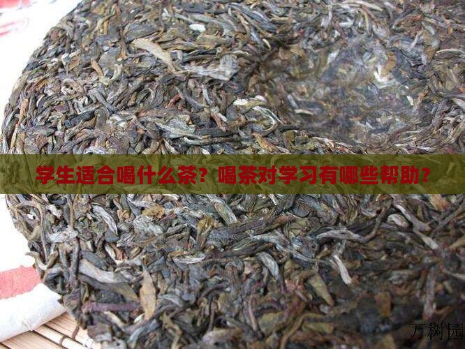 学生适合喝什么茶？喝茶对学习有哪些帮助？