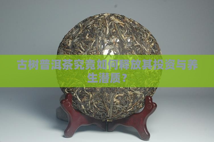 古树普洱茶究竟如何释放其投资与养生潜质？