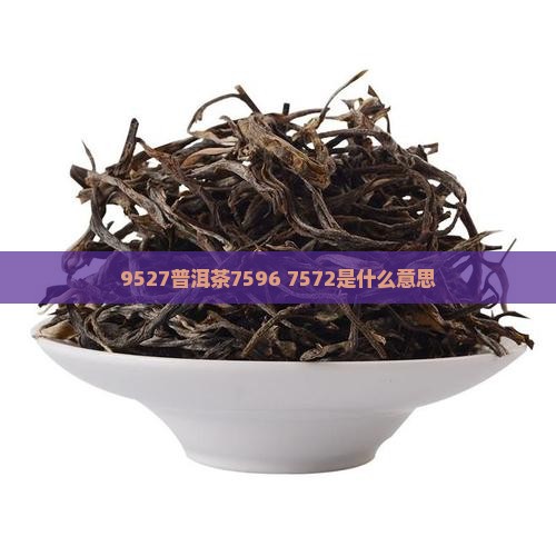 9527普洱茶7596 7572是什么意思