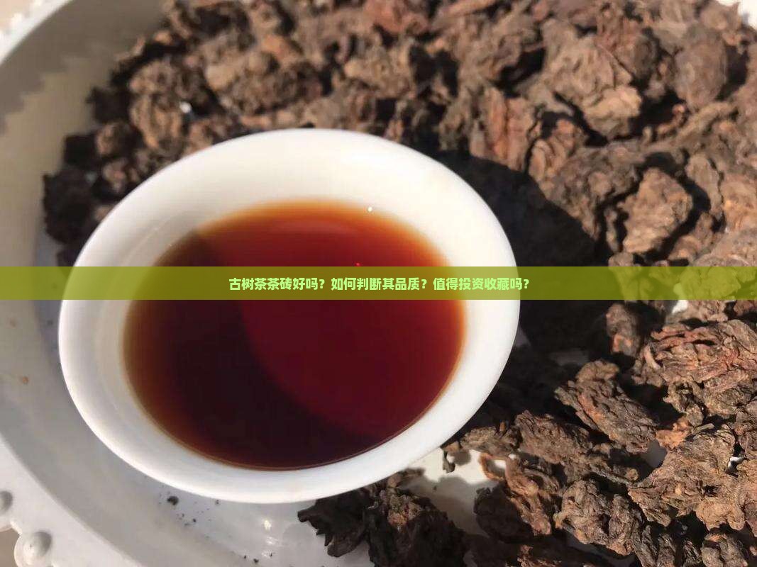 古树茶茶砖好吗？如何判断其品质？值得投资收藏吗？