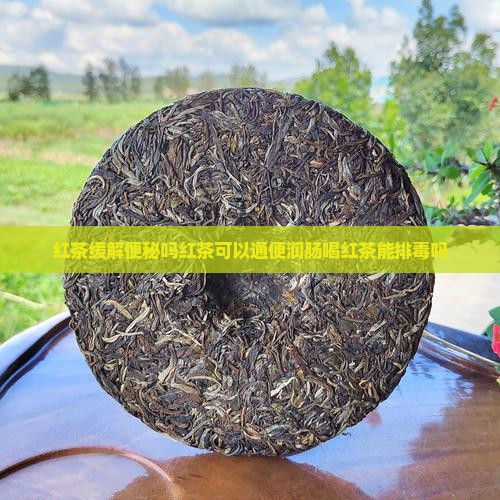 红茶缓解便秘吗红茶可以通便润肠喝红茶能排毒吗 红茶缓解便秘吗红茶可以通便润肠喝红茶能排毒吗