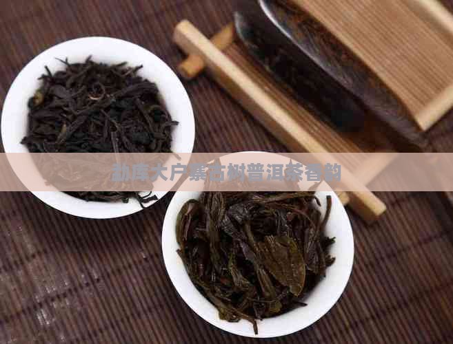 勐库大户寨古树普洱茶香韵 勐库大户寨古树普洱茶香韵